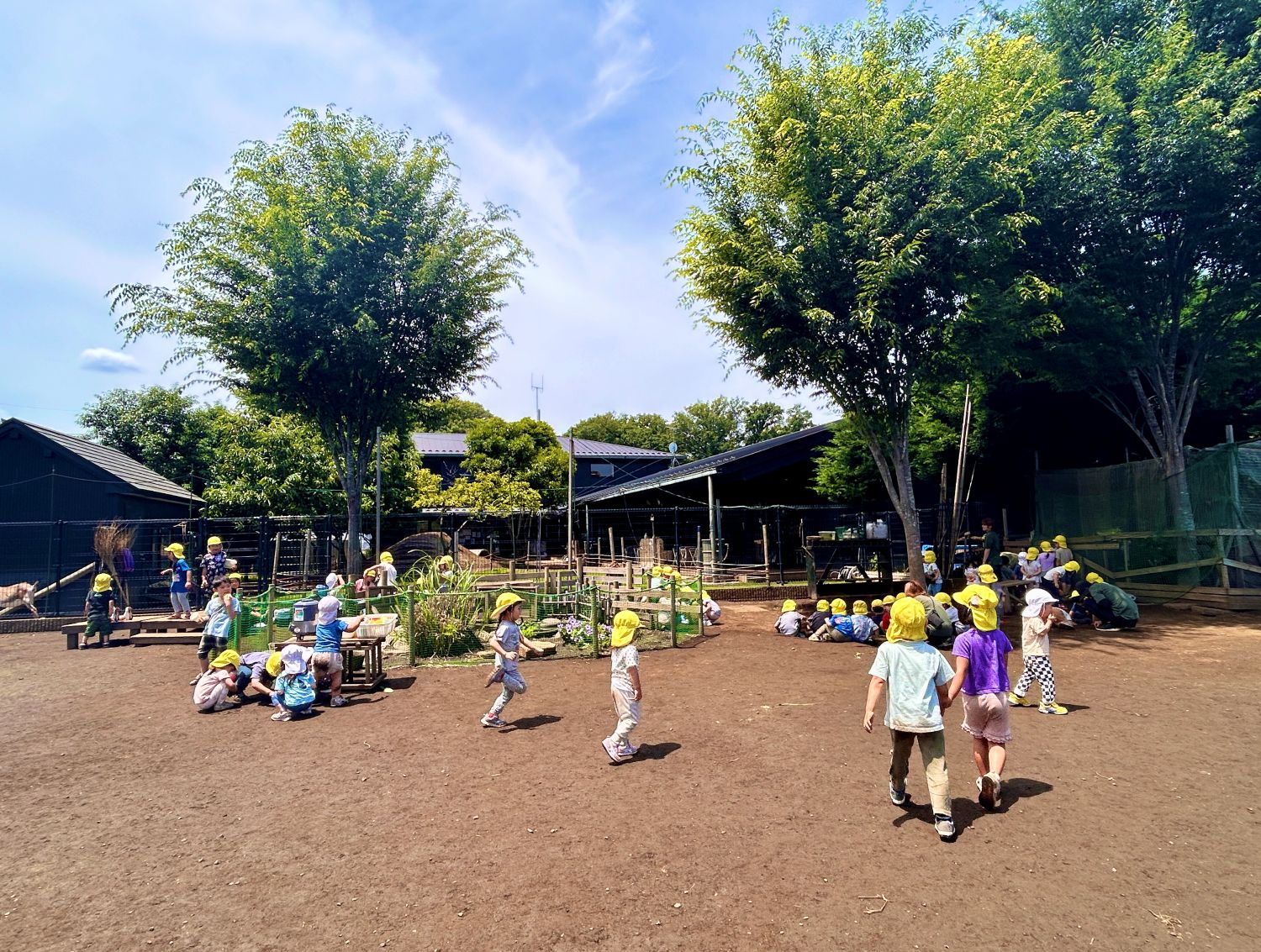 豊かな「物的環境構成」の実践が広がる園庭