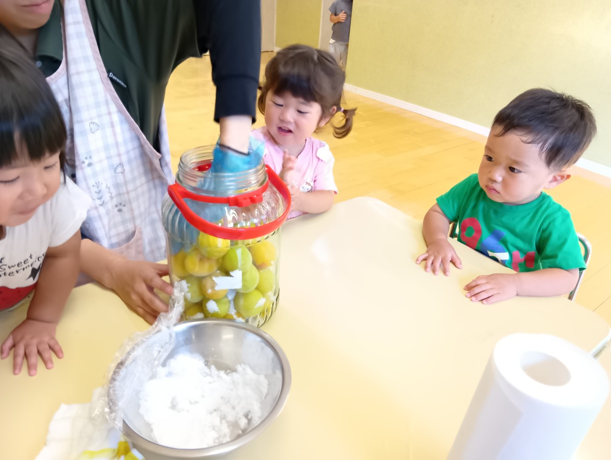 大人が瓶の中に手を入れており、その様子を子どもたちが見ている