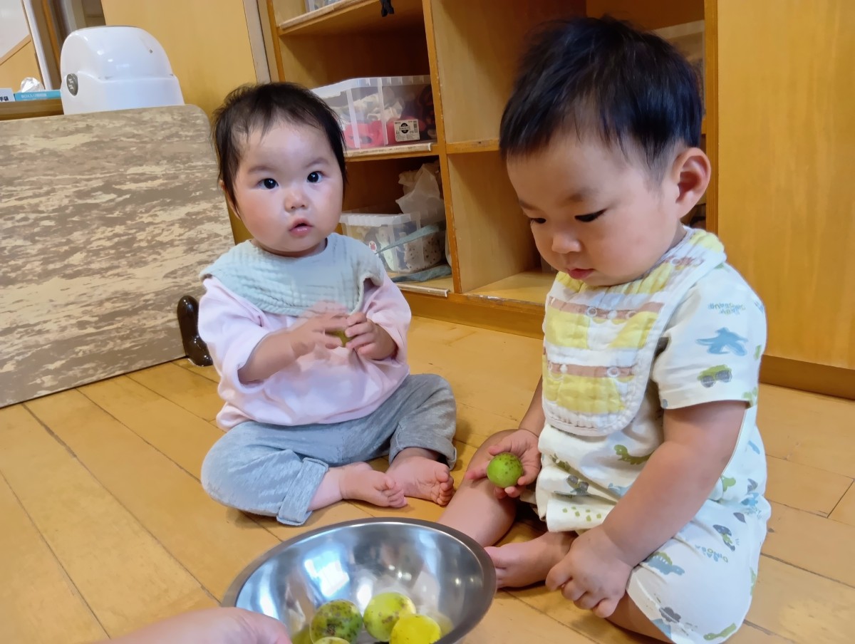 二人の0歳児が梅を握っている