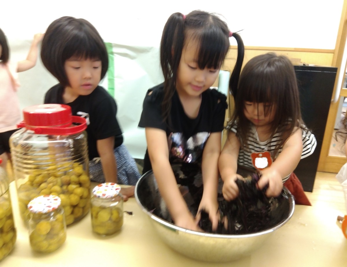 二人の子どもがボールに入った赤紫蘇を手で揉んでいる