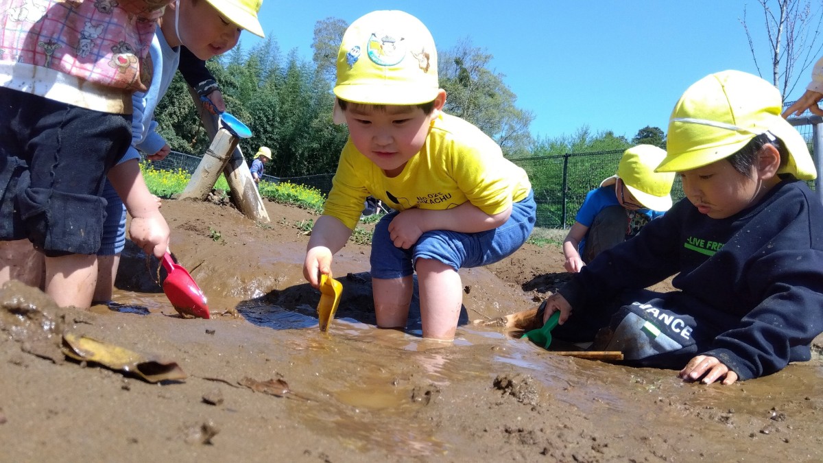 子どもたちは泥の中に入り、スコップですくおうとしている