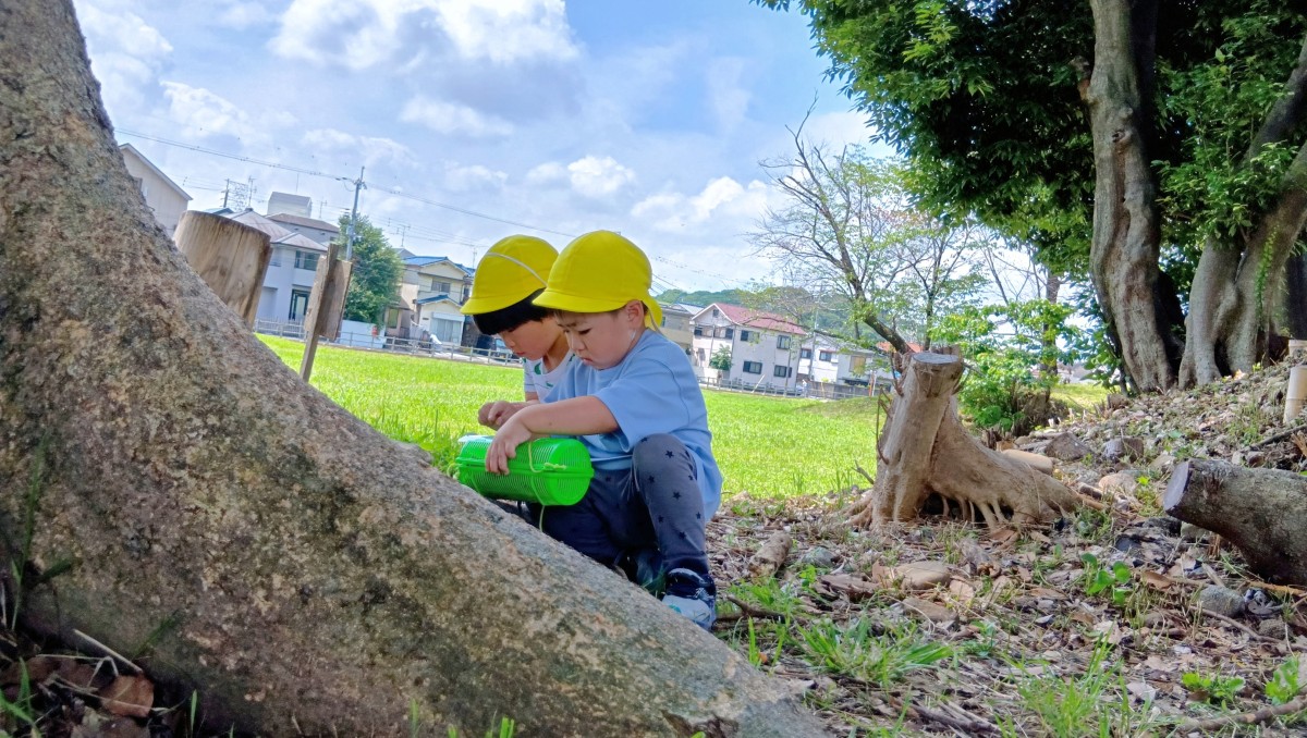 二人のこどもが虫かごを持って木の根元にしゃがみ込んでいる