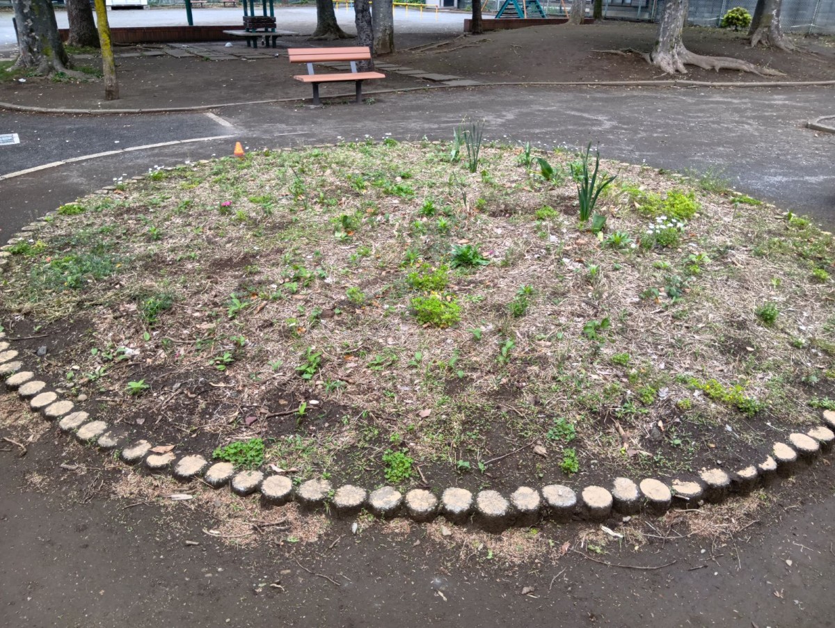 公園には雑草で覆われた花壇がある