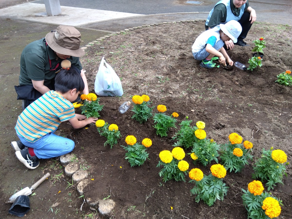 公園の花壇では、大人と子どもがスコップを使って花の苗を植えている