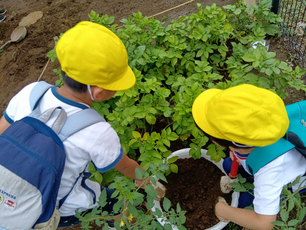 畑では、二人の子どもがシャベルを持ってしゃがんでいる