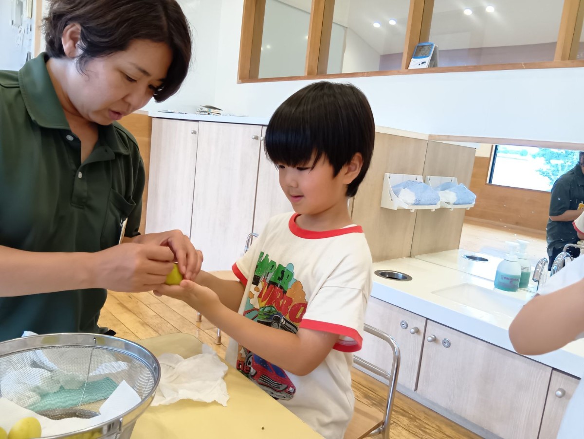 大人と子どもたちは、洗った梅のヘタ取りと水気拭きを行っている