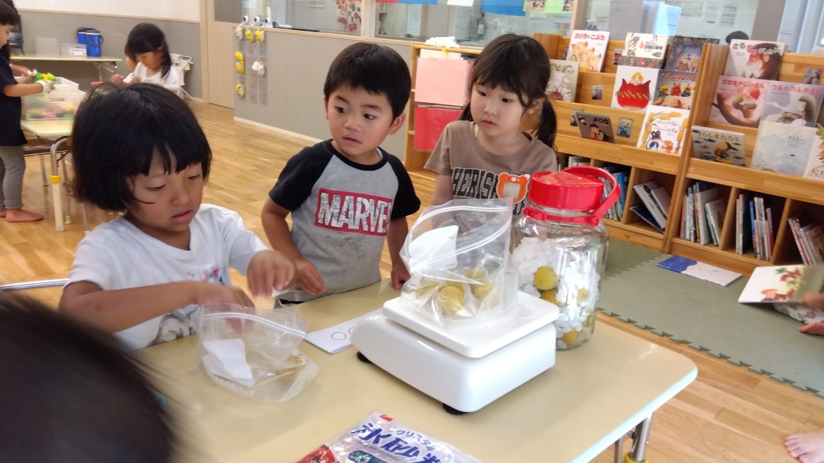 子どもたちは、計量器の上にジッパー付きポリ袋を広げ、梅の重さを量っている