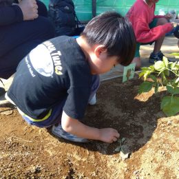 発達支援つむぎ 駒沢「畑仕事」