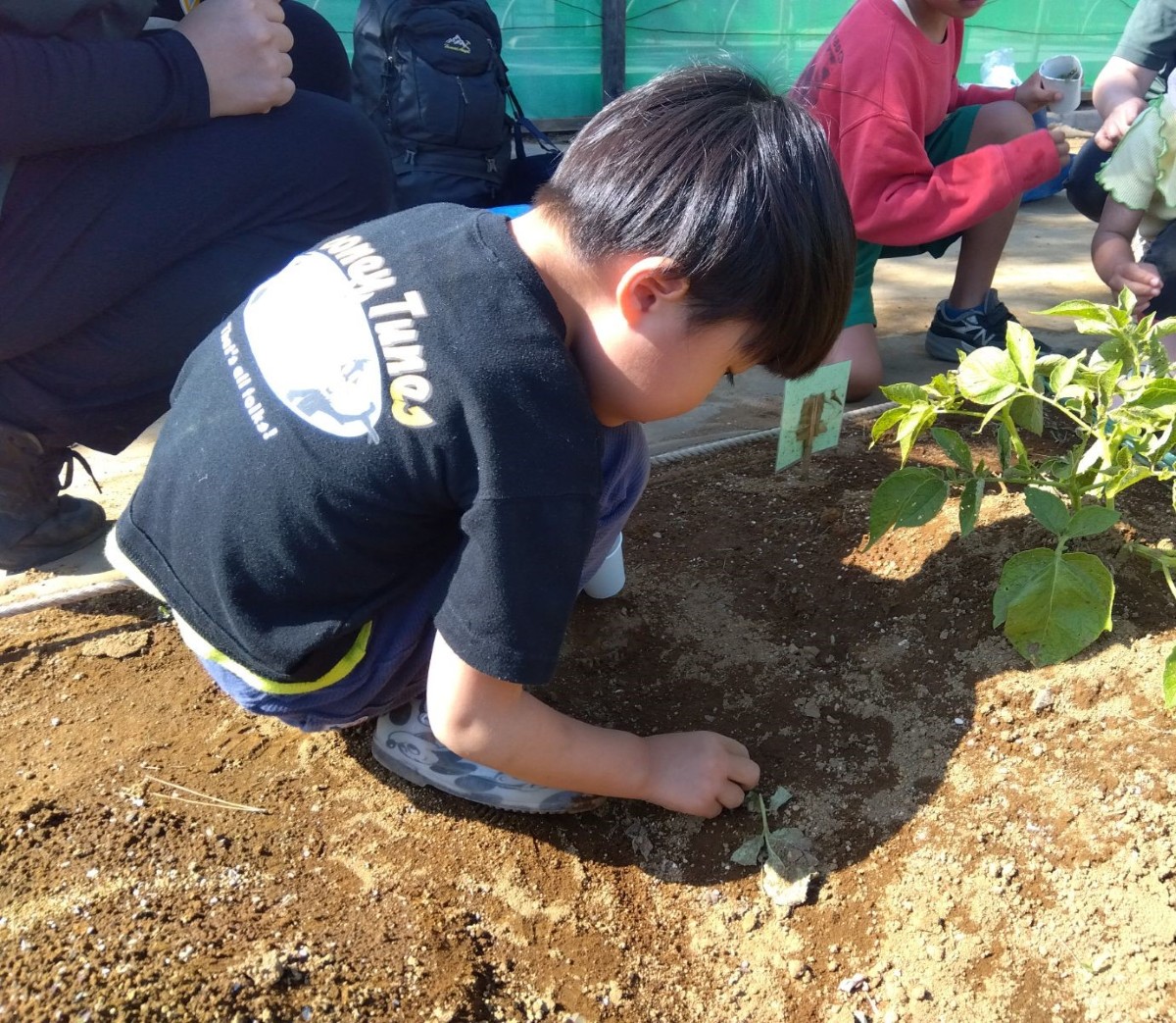 畑では、一人の子どもがしゃがんで雑草を抜いてる