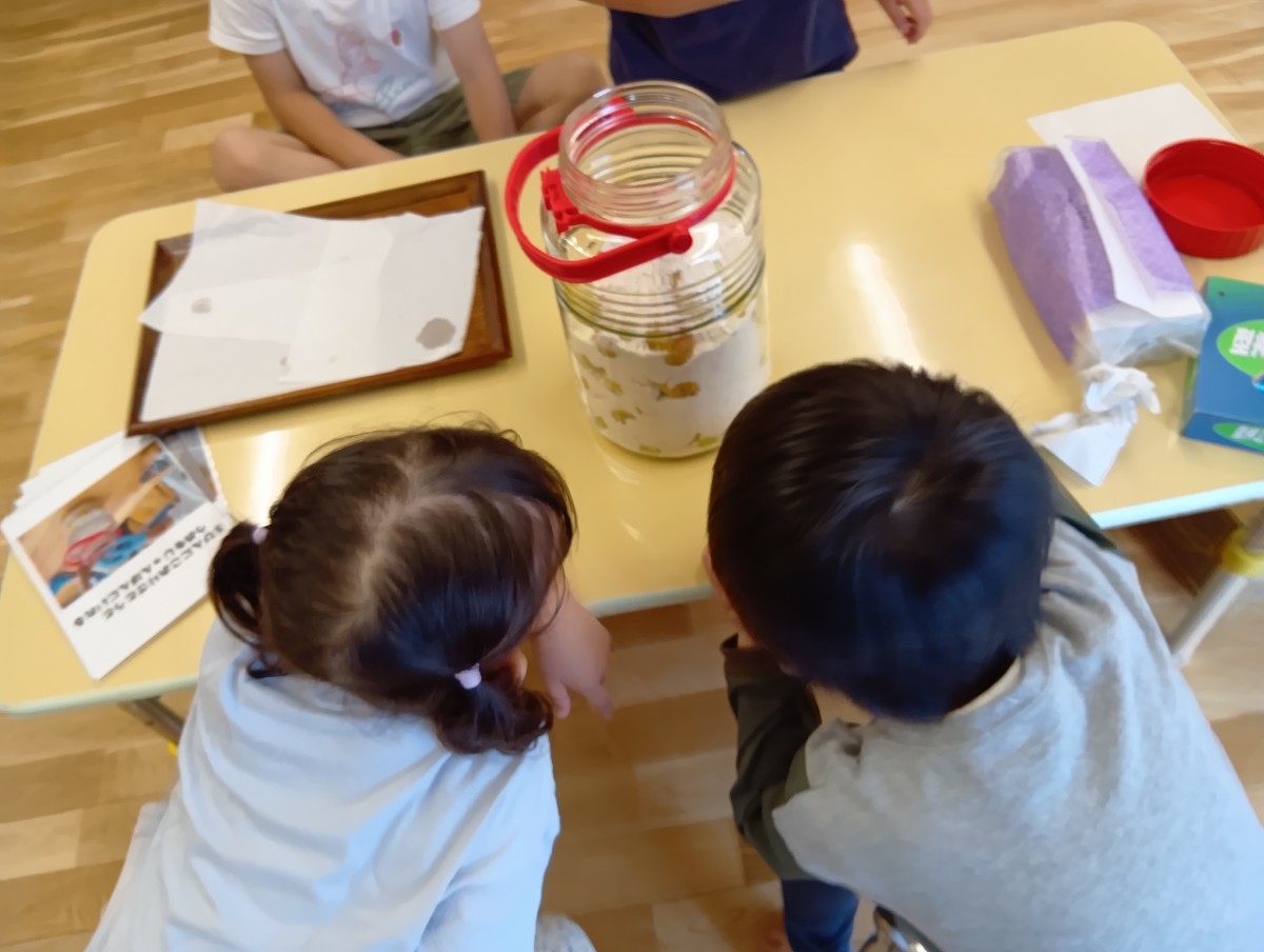 子どもたちは梅とてんさい糖が入った瓶を横から眺めている