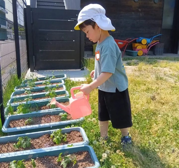 一人の子どもがじょうろで植物に水をあげている