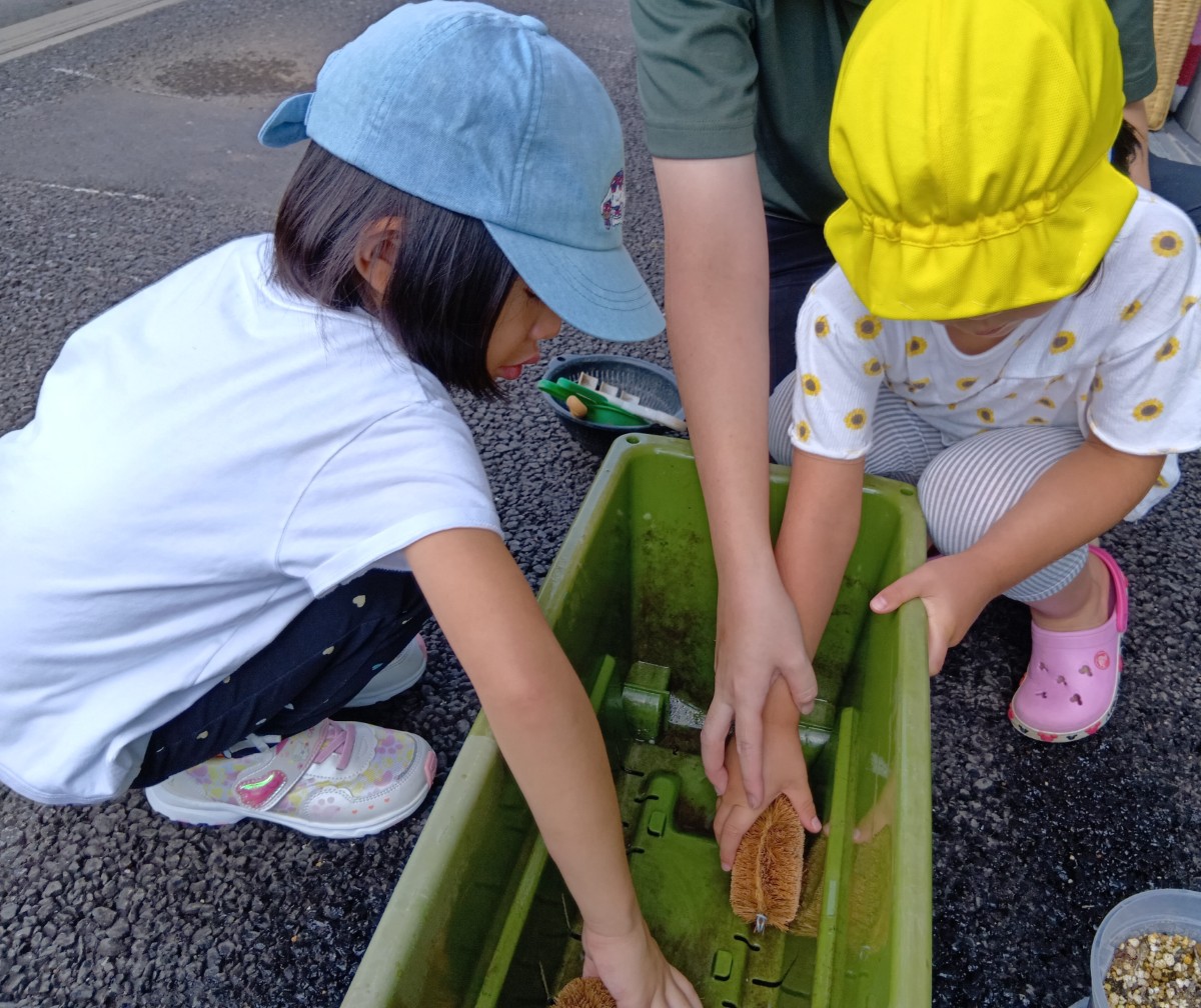 二人の子どもが、たわし土で汚れたプランターの内側にこすりつけて、きれいにしようとしている。