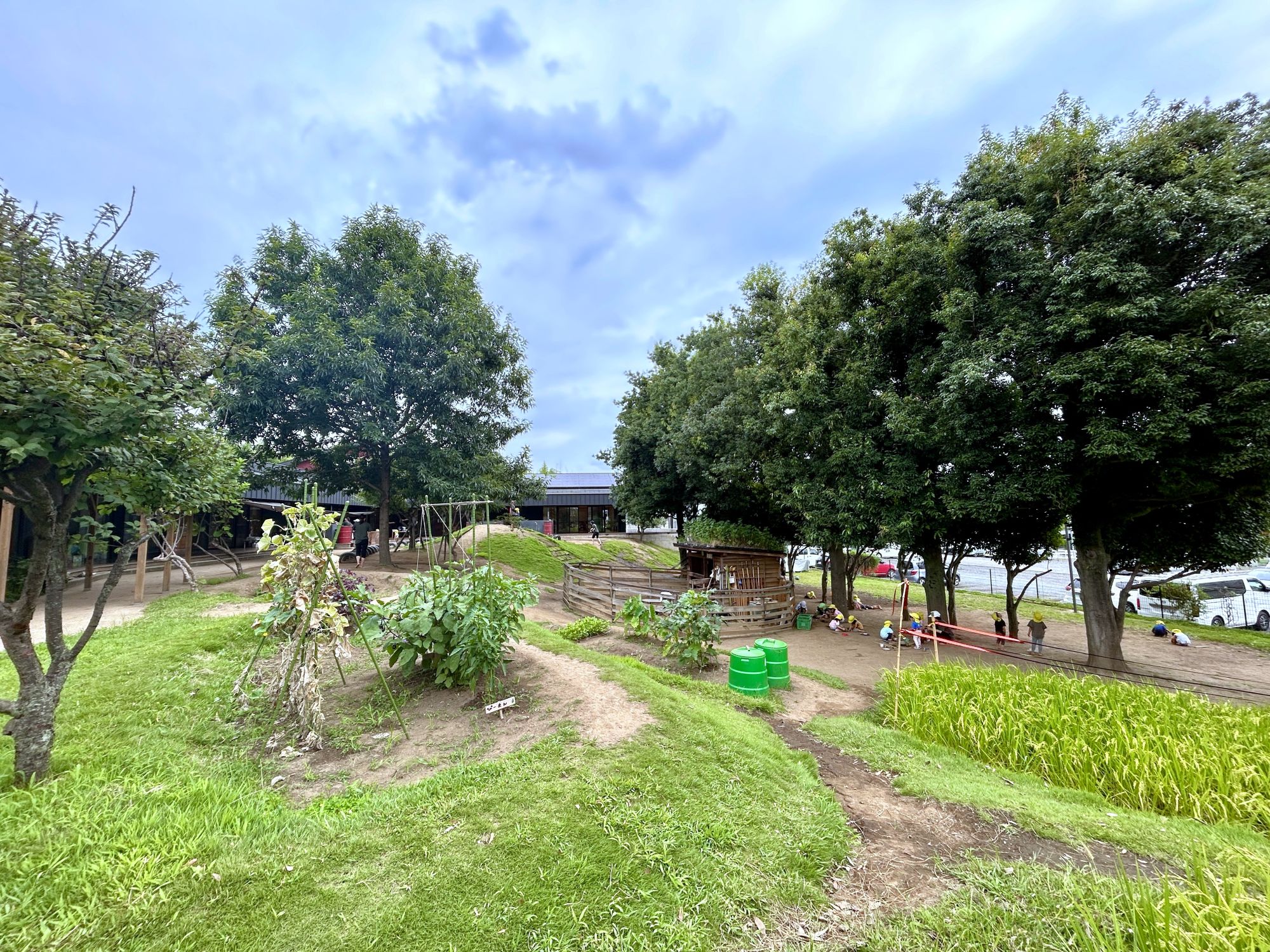 万博公園どろんこ保育園の園庭全景