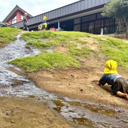 ハイハイで築山を登る０歳児