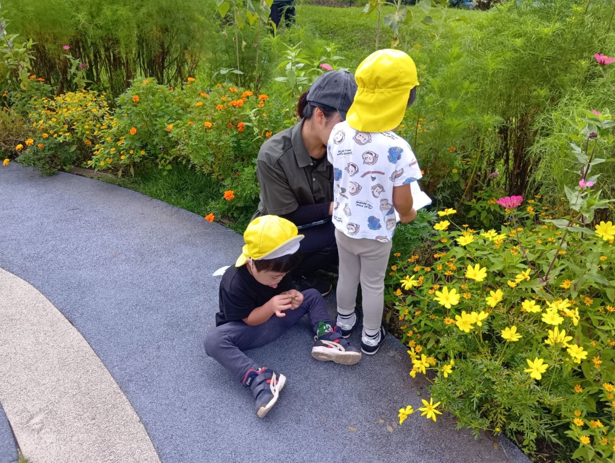 公園の植え込みの近くでは、スタッフと子どもが図鑑を見たり、その近くでしゃがんだ子どもが落ちていた葉を手に取って見たりしている
