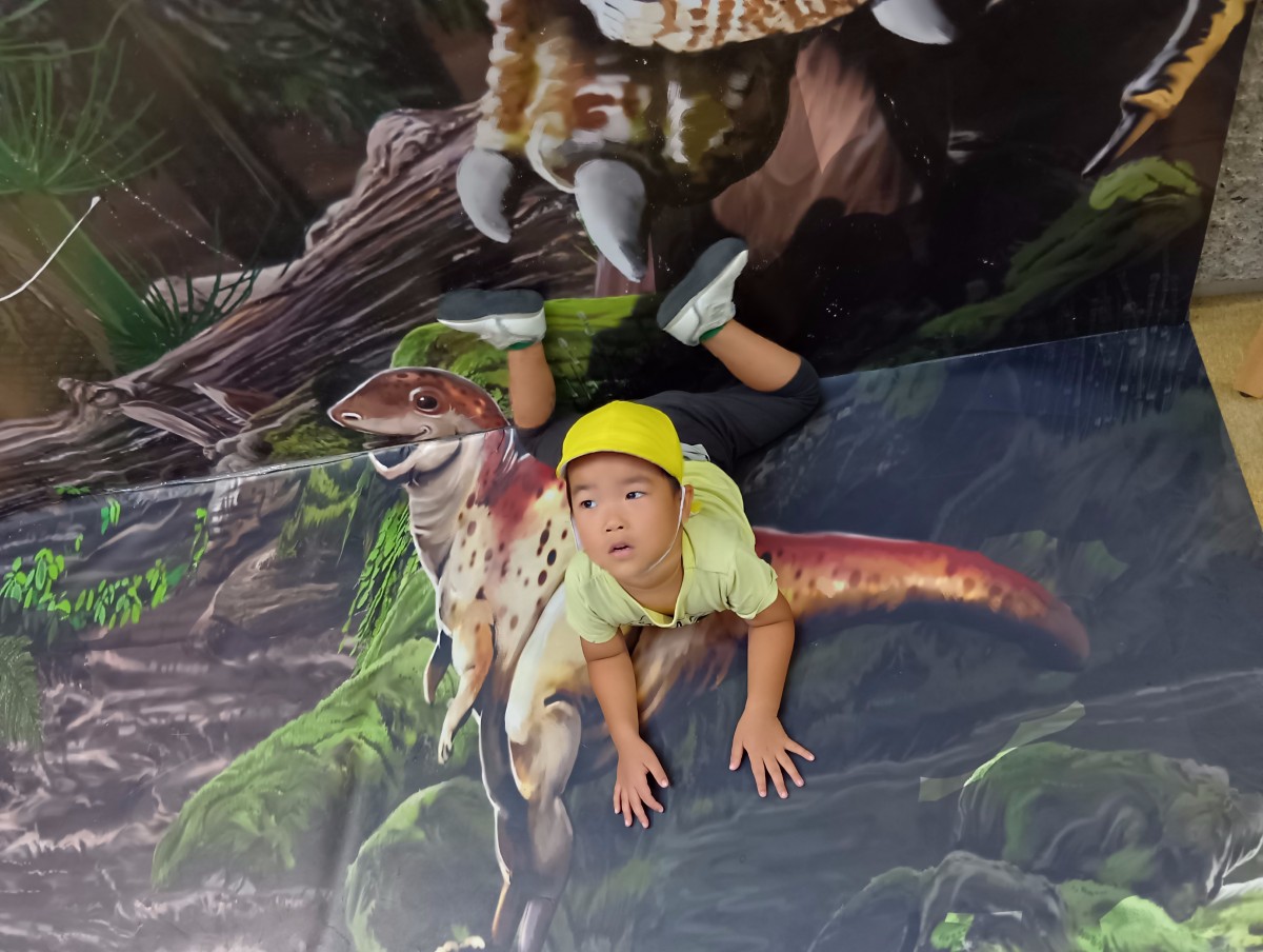 恐竜のパネルの上で一人の子どもが横になっている