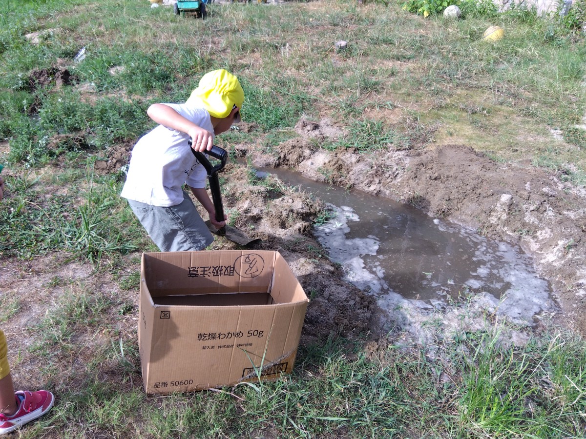 園庭の水たまりの近くで、一人の子どもが大きなシャベルで土を掘っている