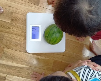 子どもたちが計量器を使ってスイカの重さを量っている