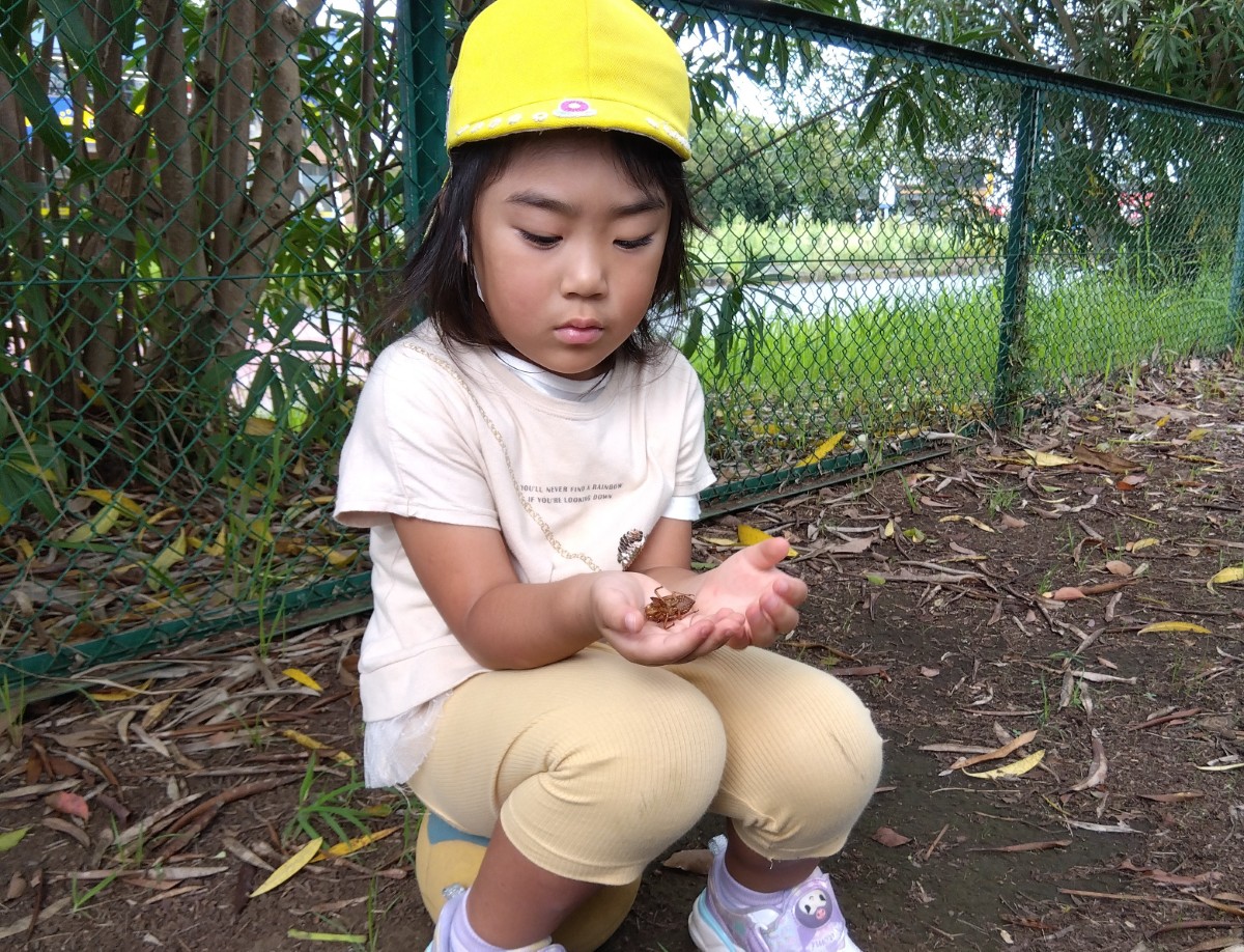 一人の子どもが蝉の抜け殻を両手に持って見つめている