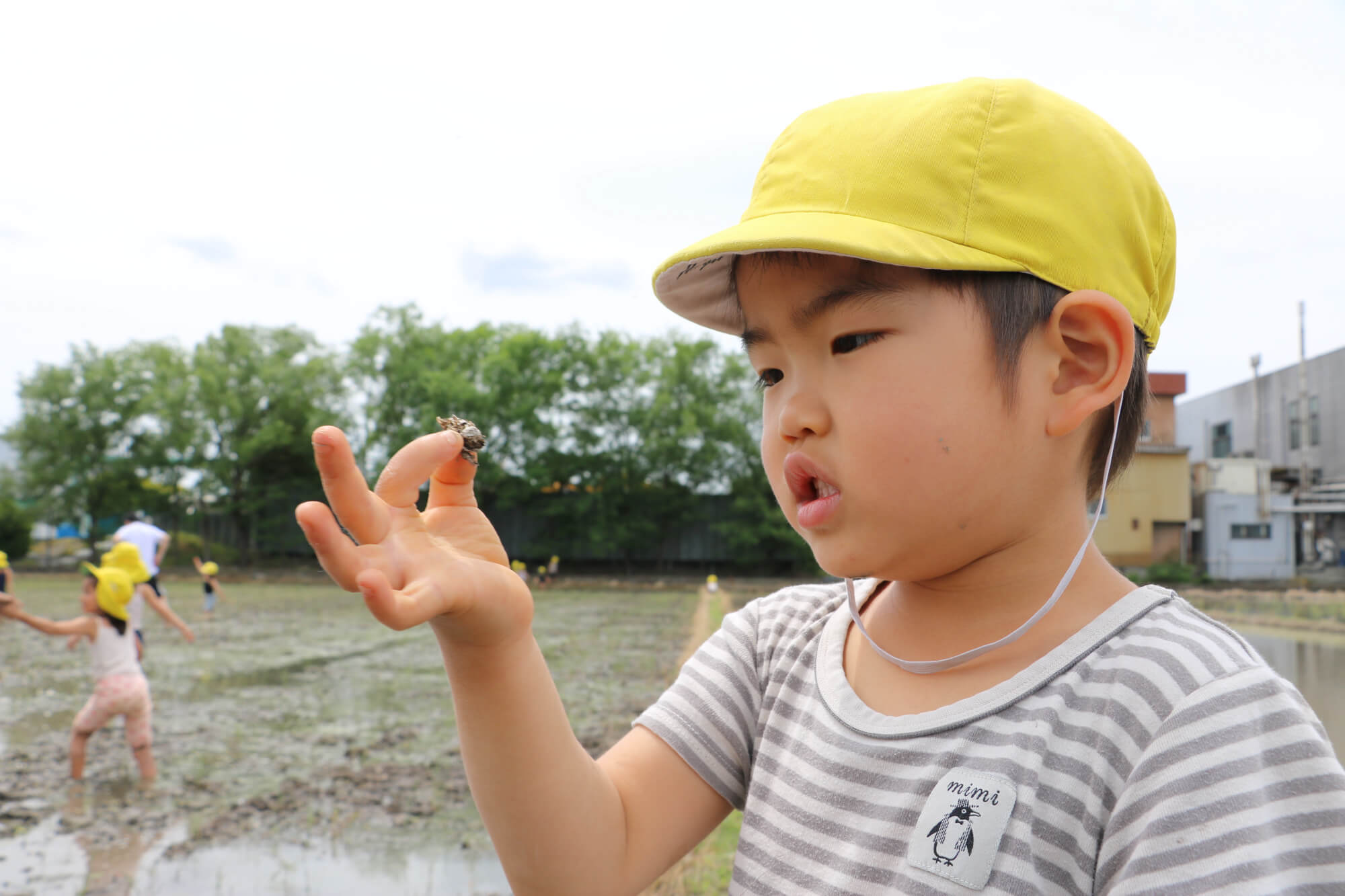 タニシを捕まえて観察する子ども