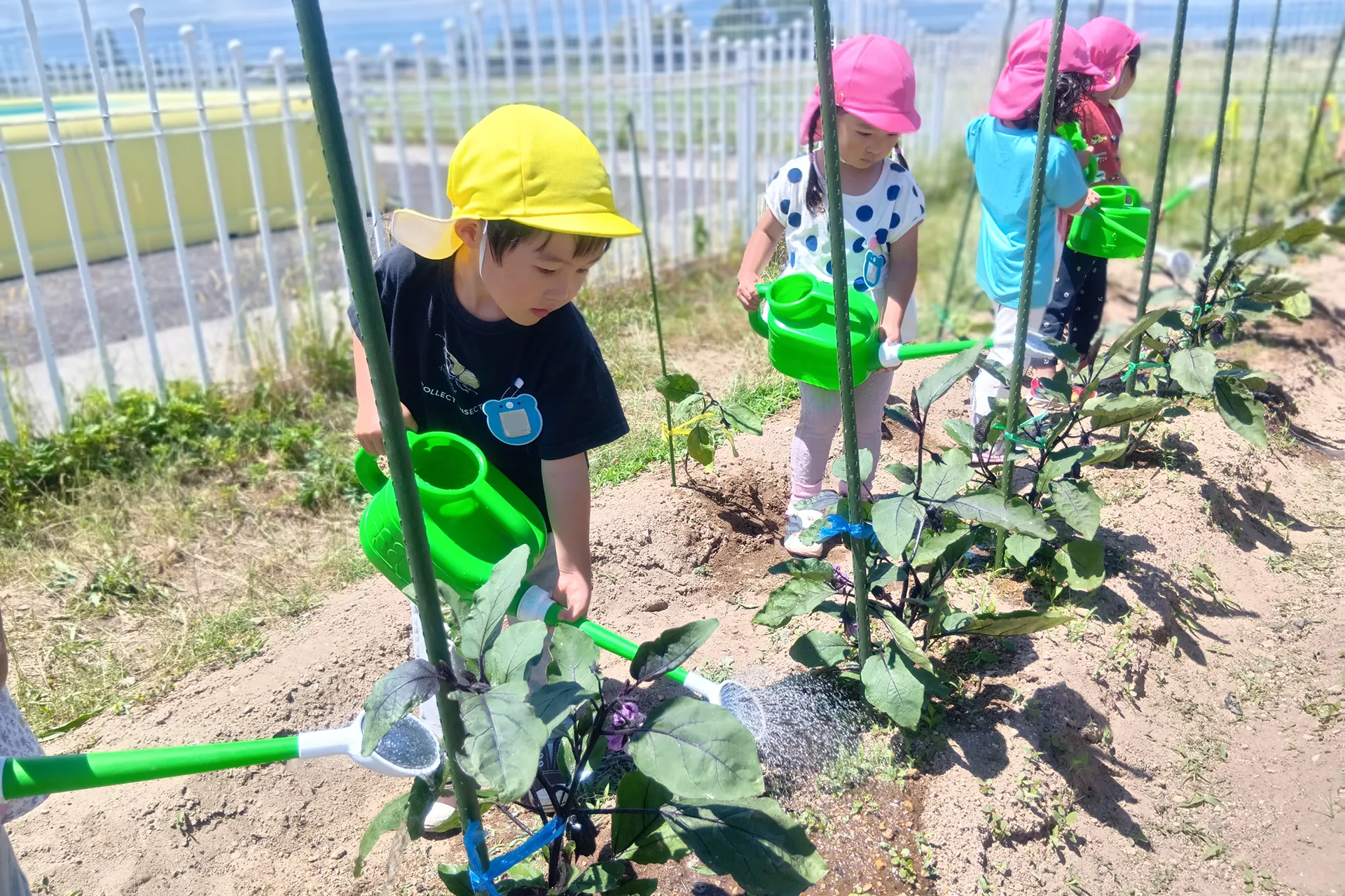 会津若松どろんこ保育園 活動写真