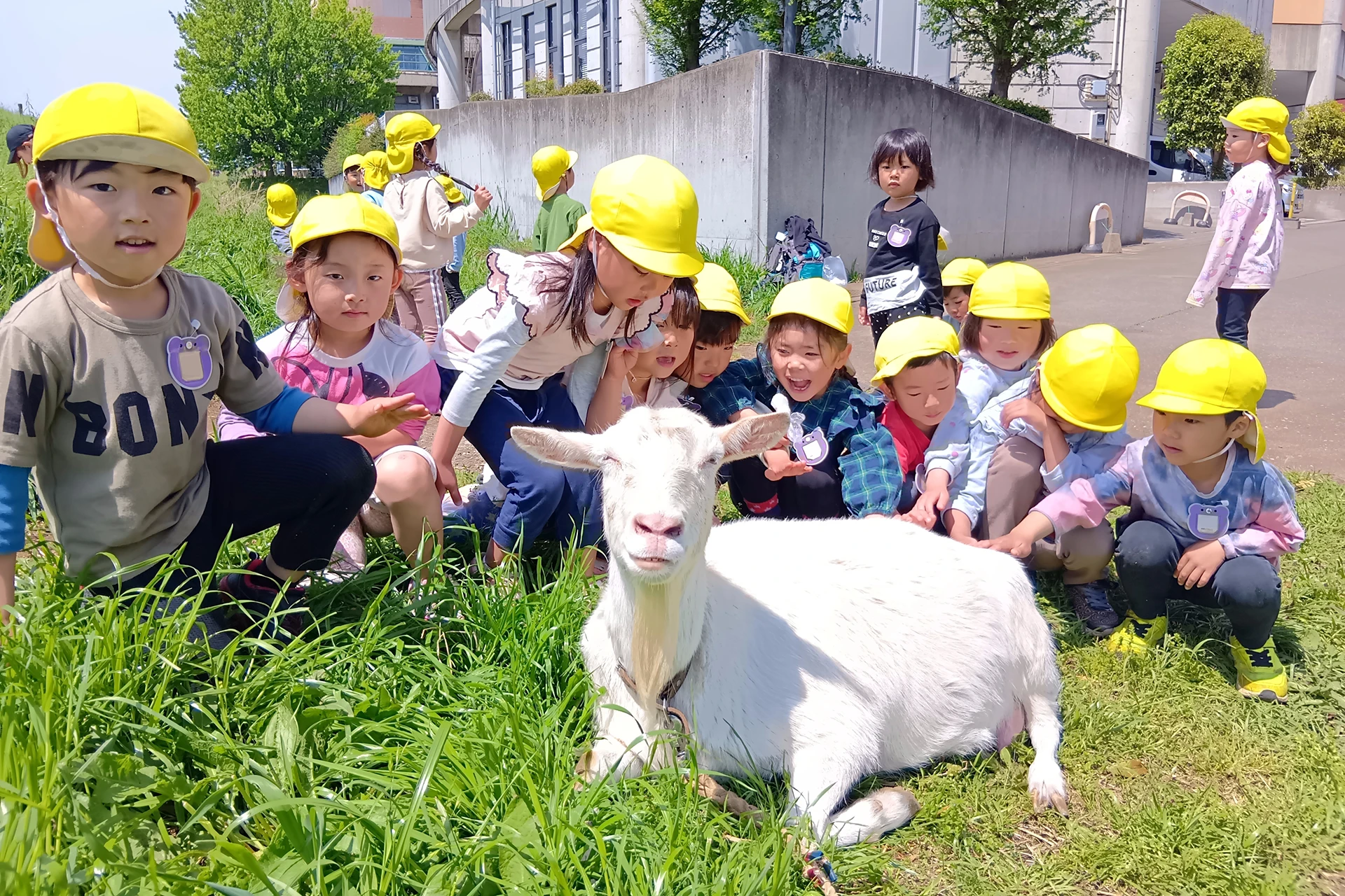 朝霞どろんこ保育園 活動写真