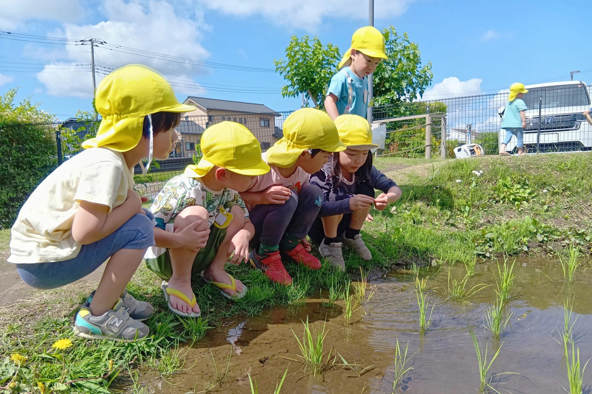 万博公園どろんこ保育園 活動写真