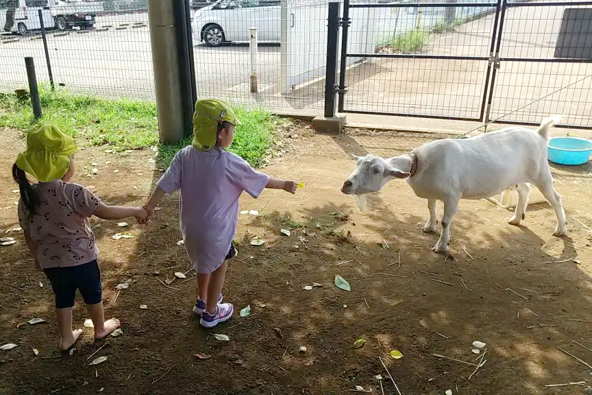 ふじみ野どろんこ保育園 活動写真
