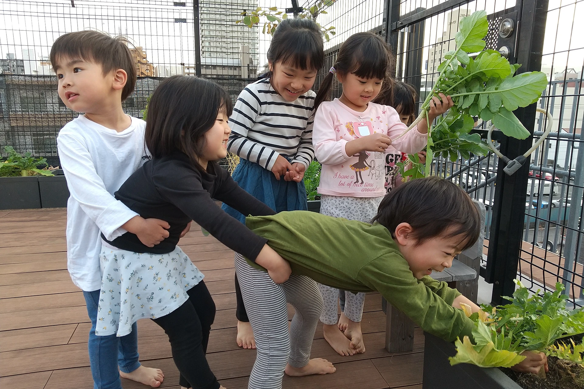 船橋どろんこ保育園 活動写真