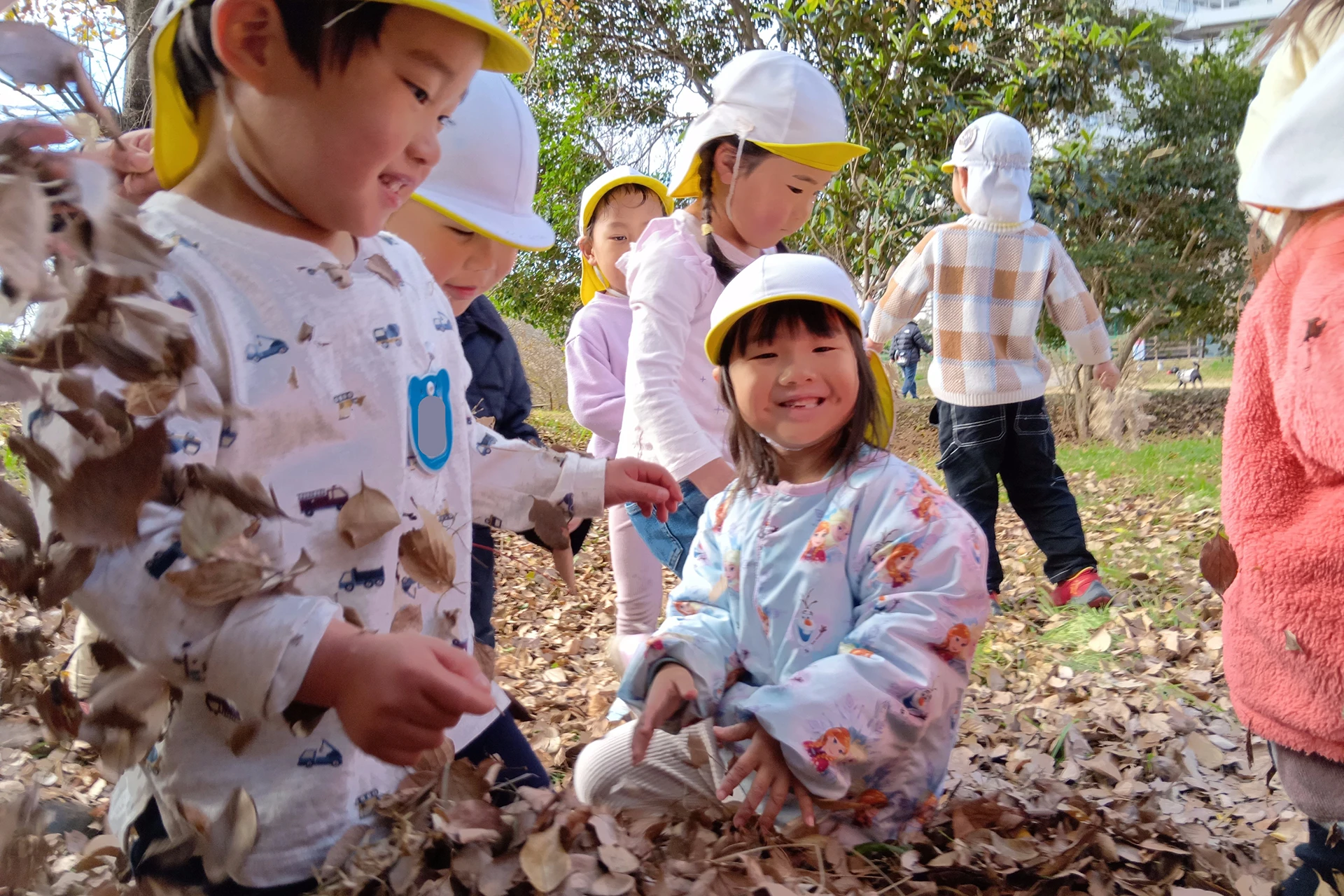 船橋どろんこ保育園 活動写真