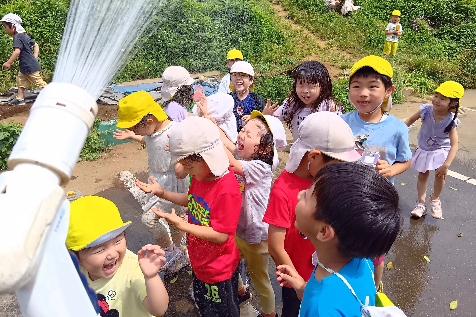 東寺尾どろんこ保育園 活動写真