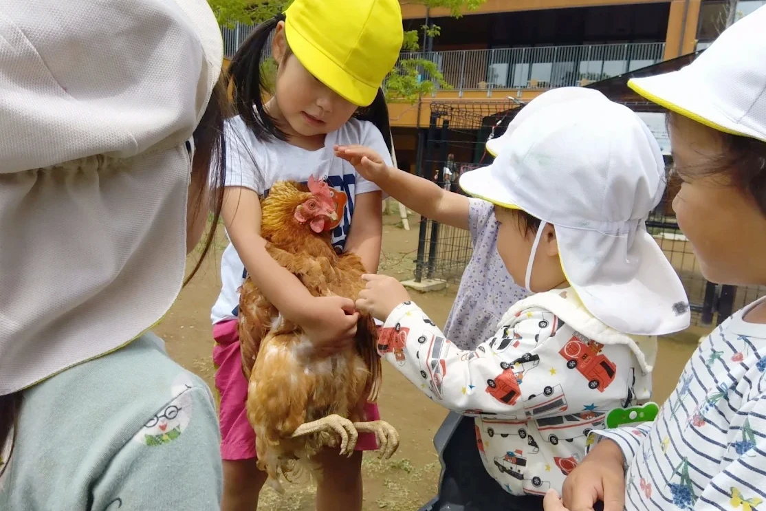 東大和どろんこ保育園 活動写真