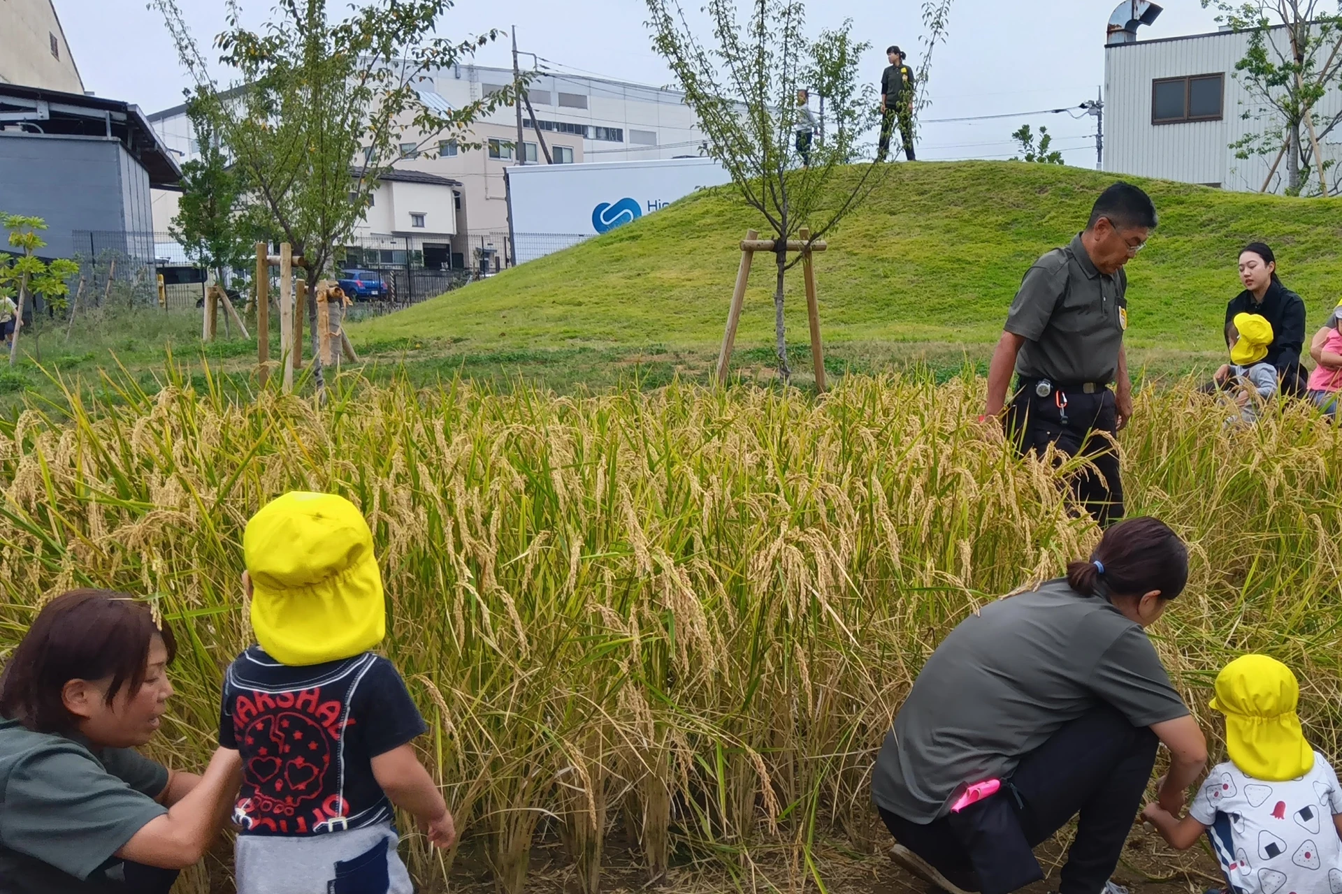 東大和どろんこ保育園 活動写真