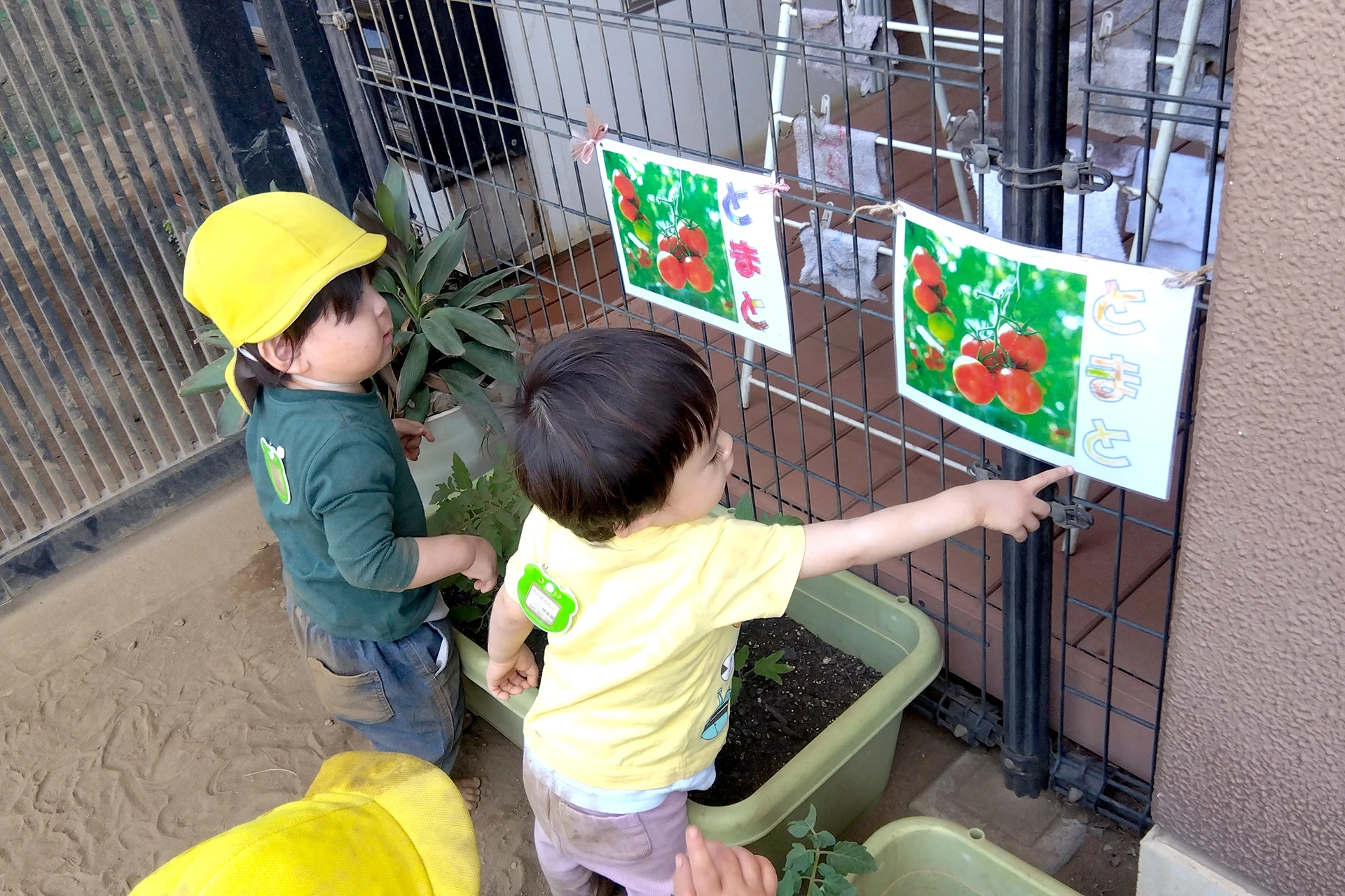 市川どろんこ保育園 活動写真