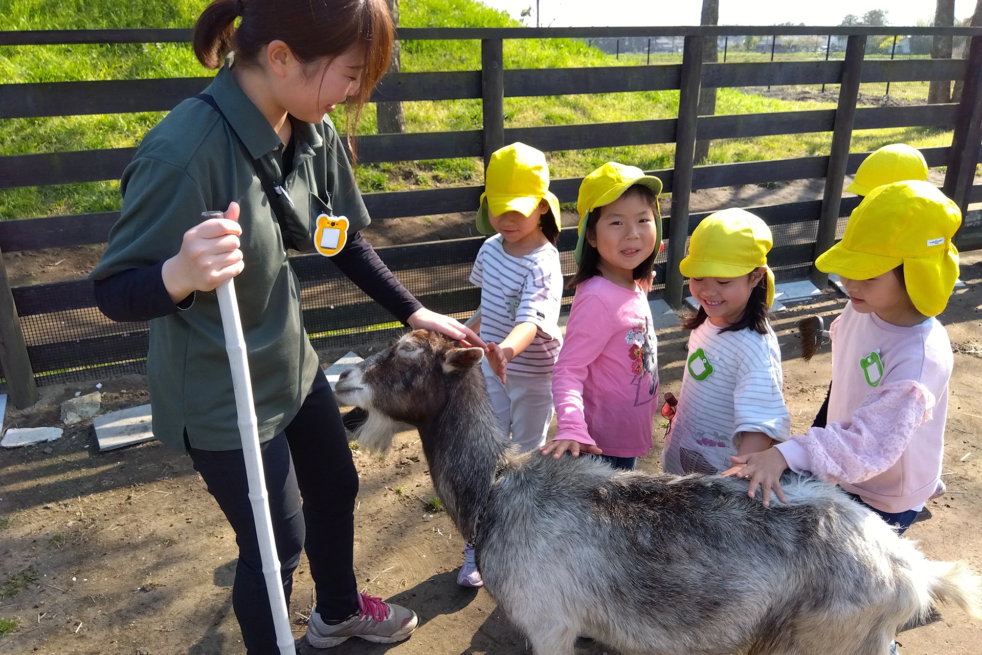 一宮どろんこ保育園 活動写真
