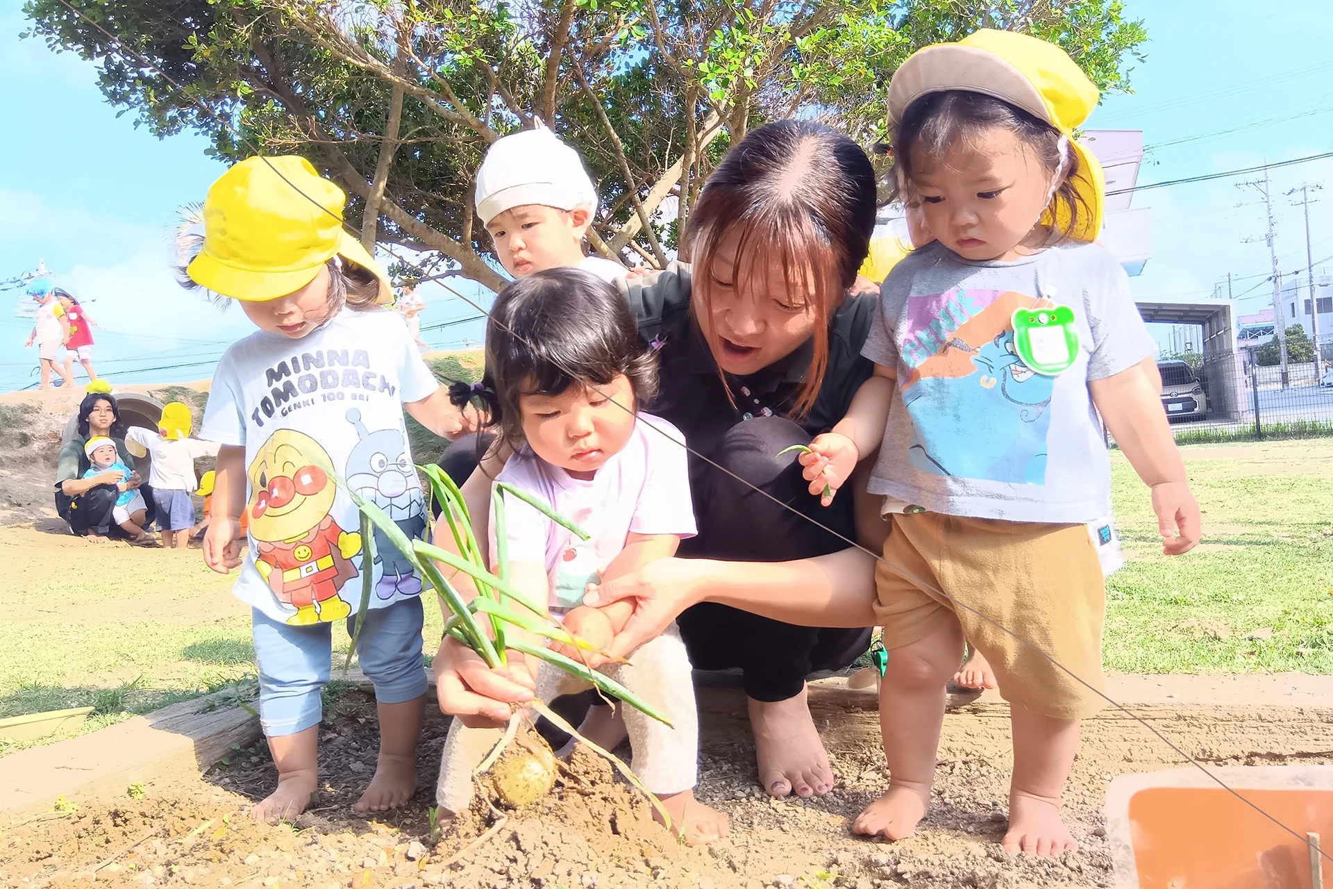 石川どろんこ保育園 活動写真