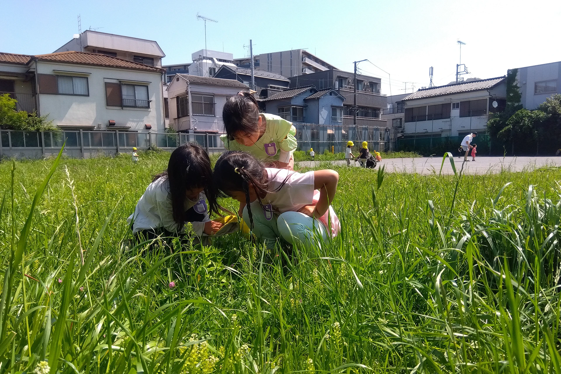 板橋仲町どろんこ保育園 活動写真