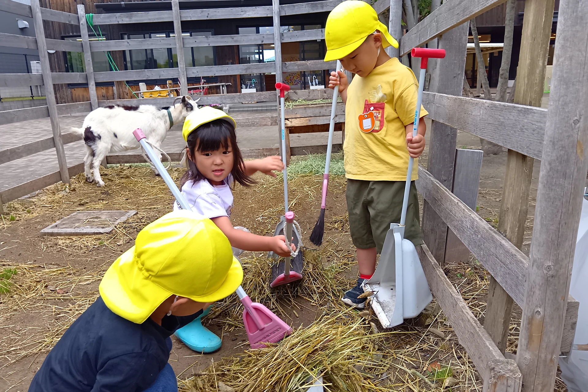 岩切どろんこ保育園 活動写真