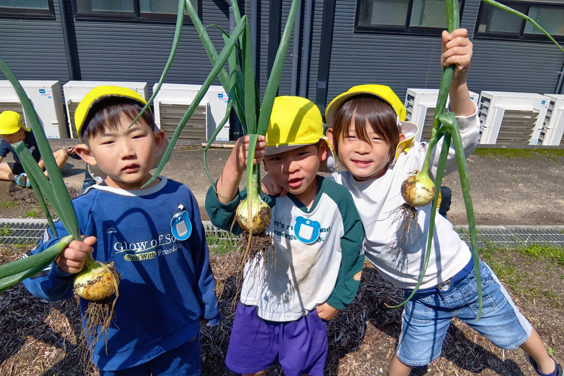 春日どろんこ保育園 活動写真