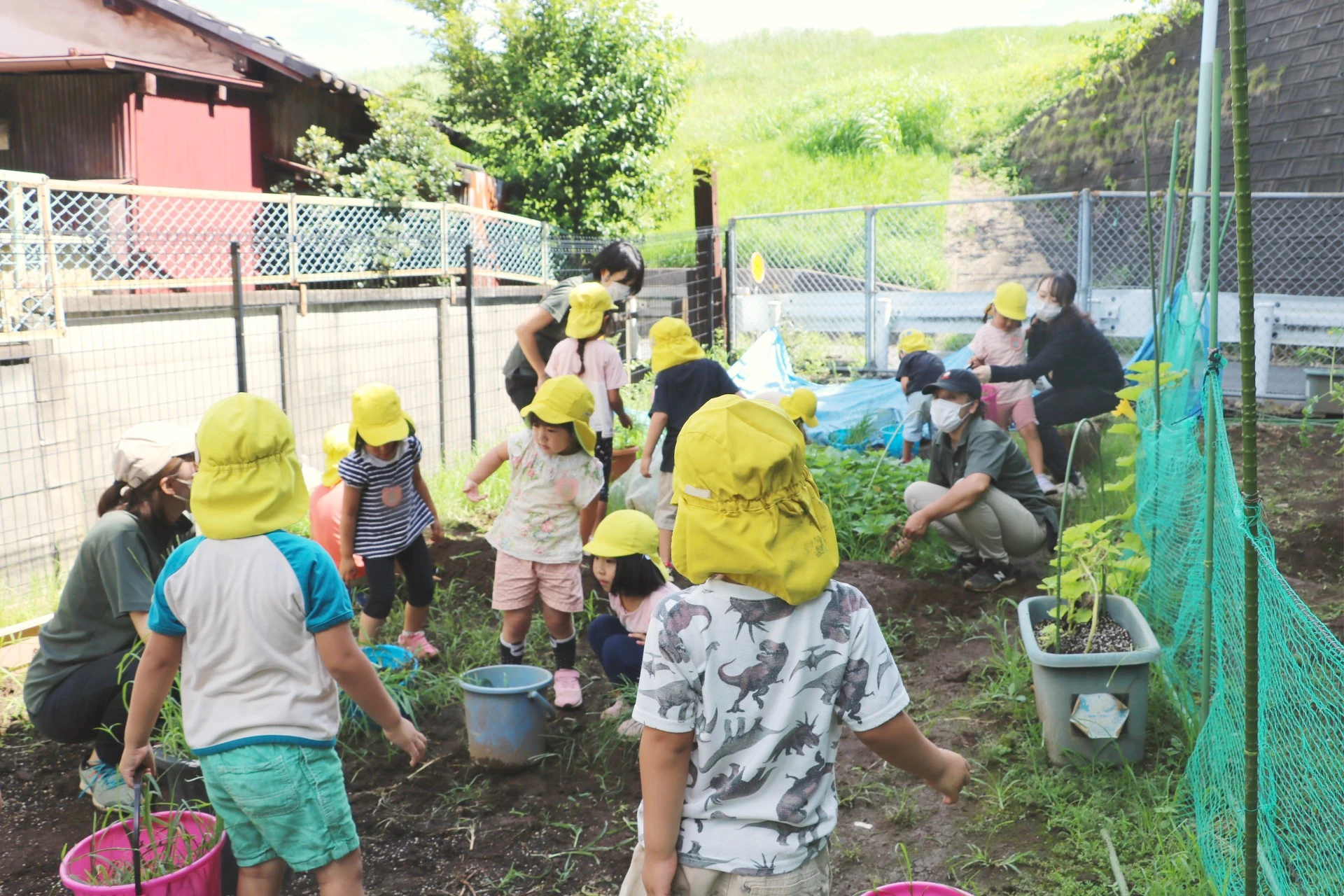 北千住どろんこ保育園 活動写真