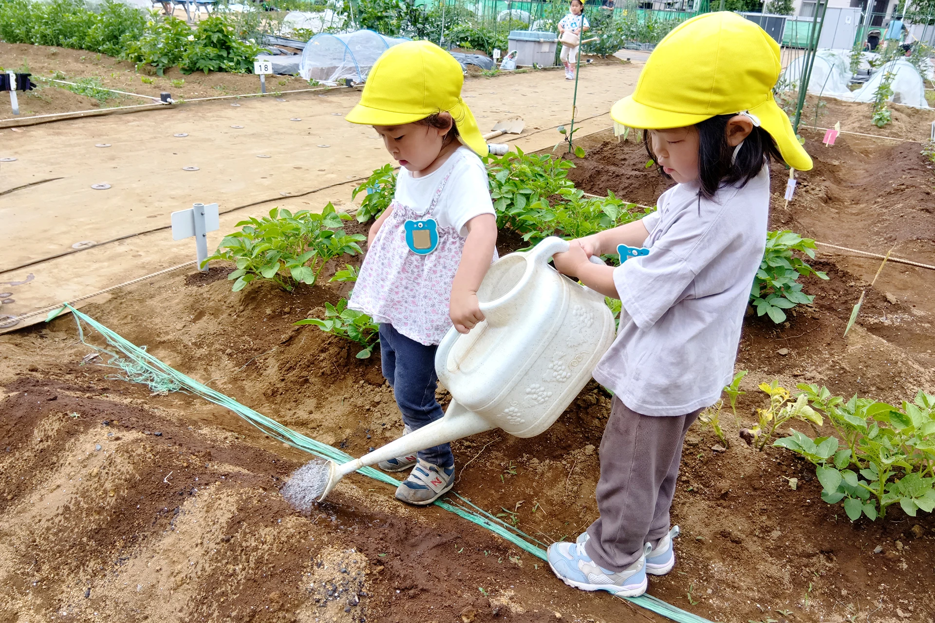 駒沢どろんこ保育園 活動写真