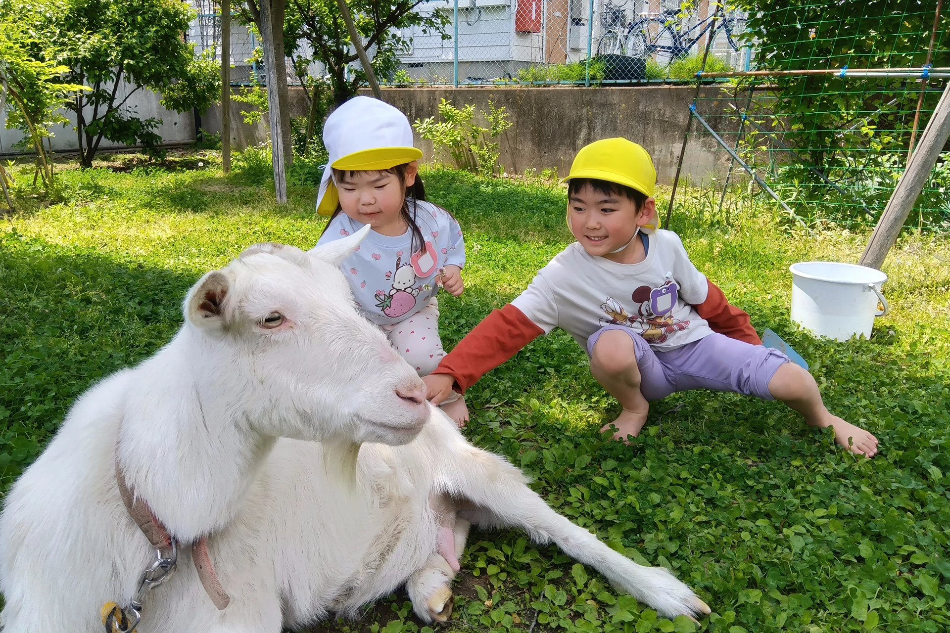 郡山どろんこ保育園 活動写真