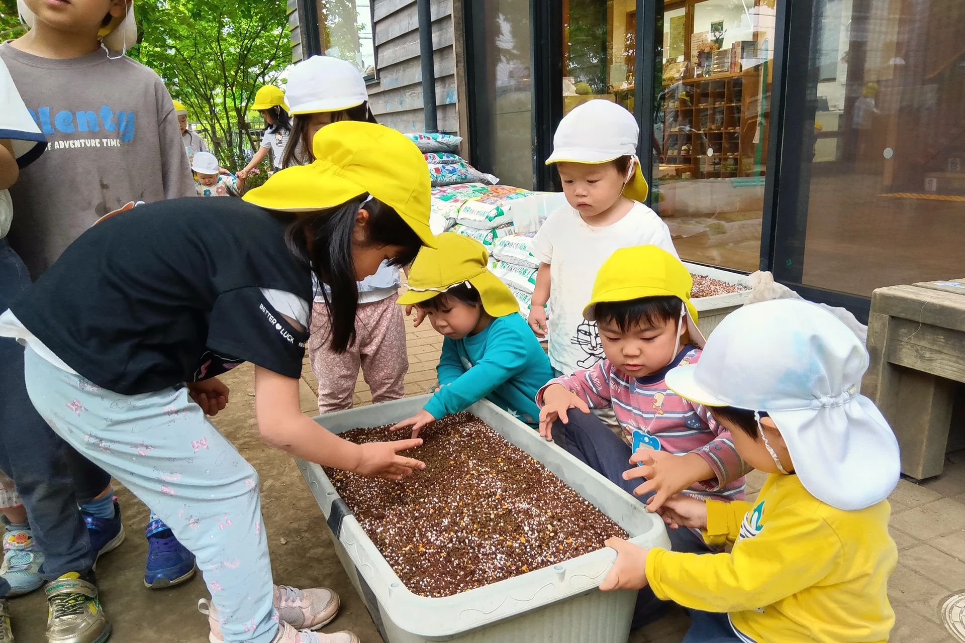 大豆戸どろんこ保育園 活動写真