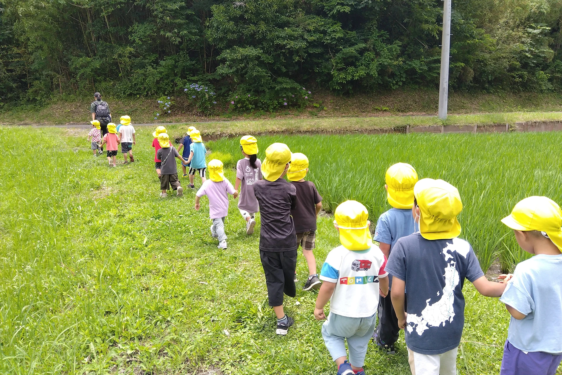 宮下どろんこ保育園 活動写真