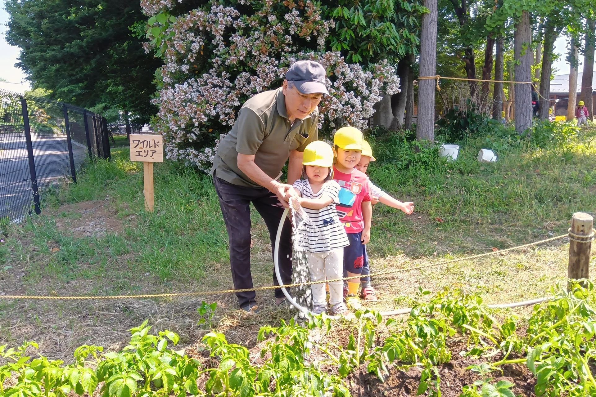 守谷どろんこ保育園 活動写真