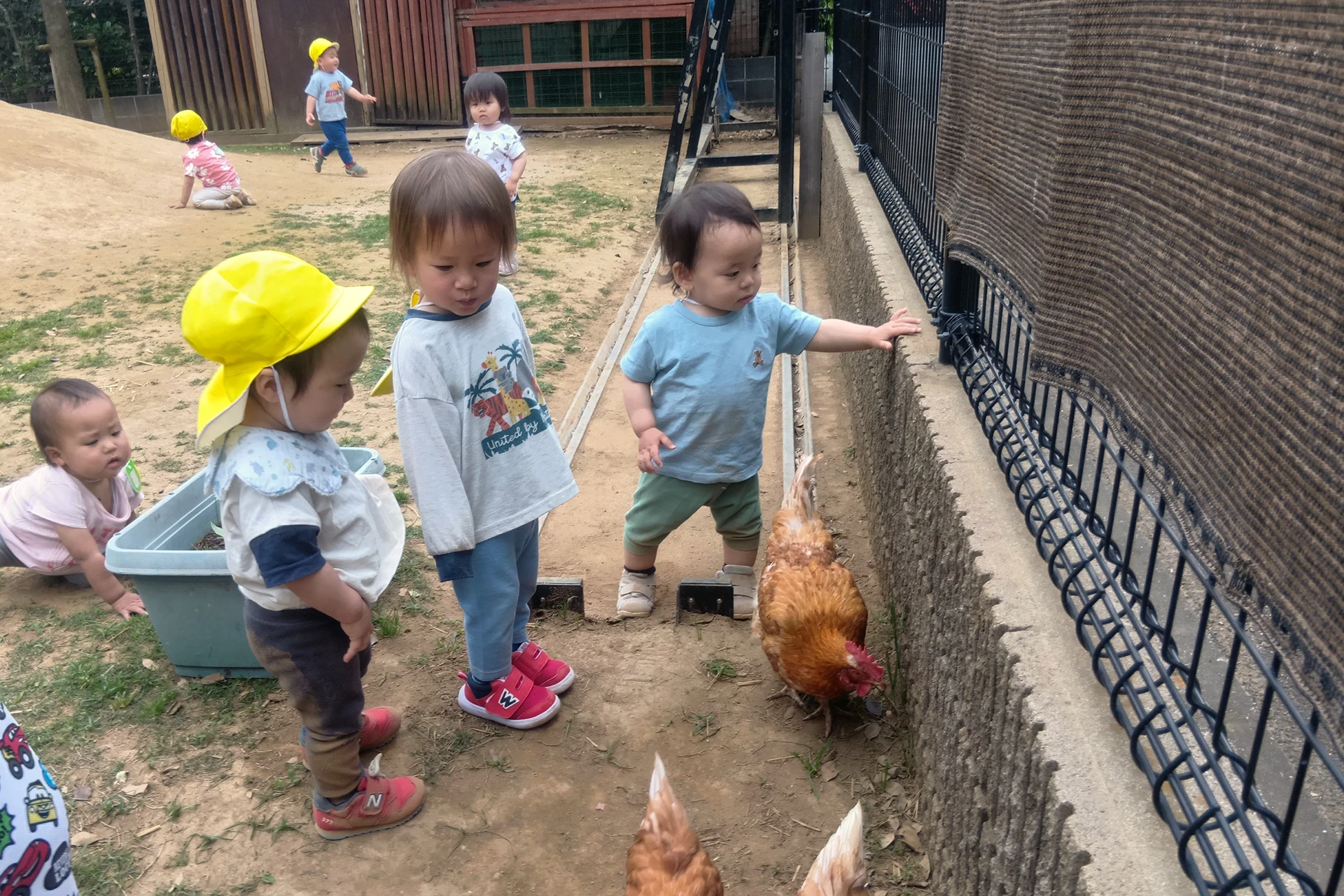 武蔵野どろんこ保育園 活動写真