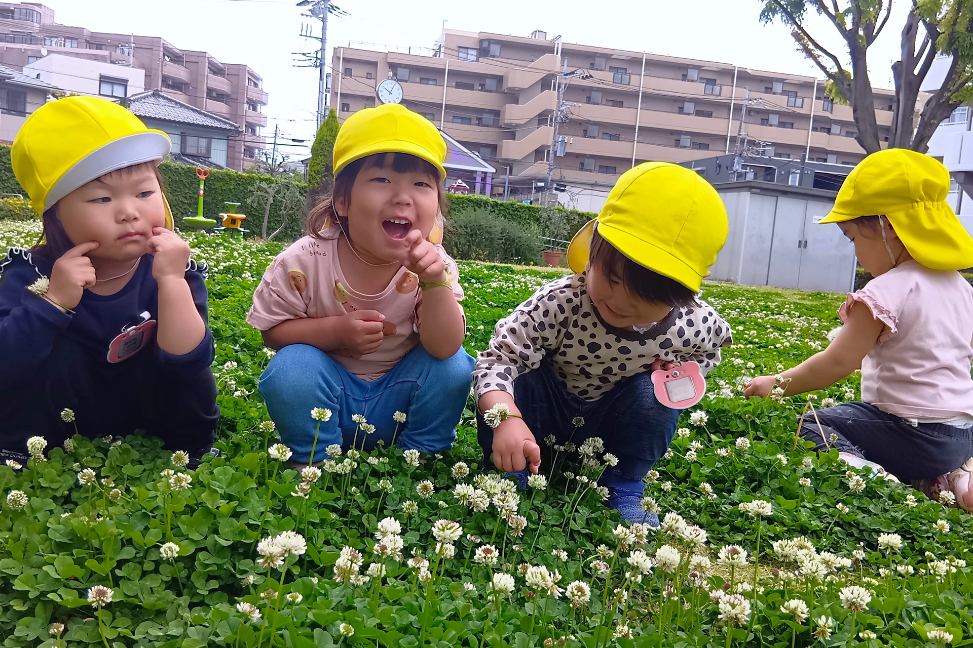 仲町どろんこ保育園 活動写真