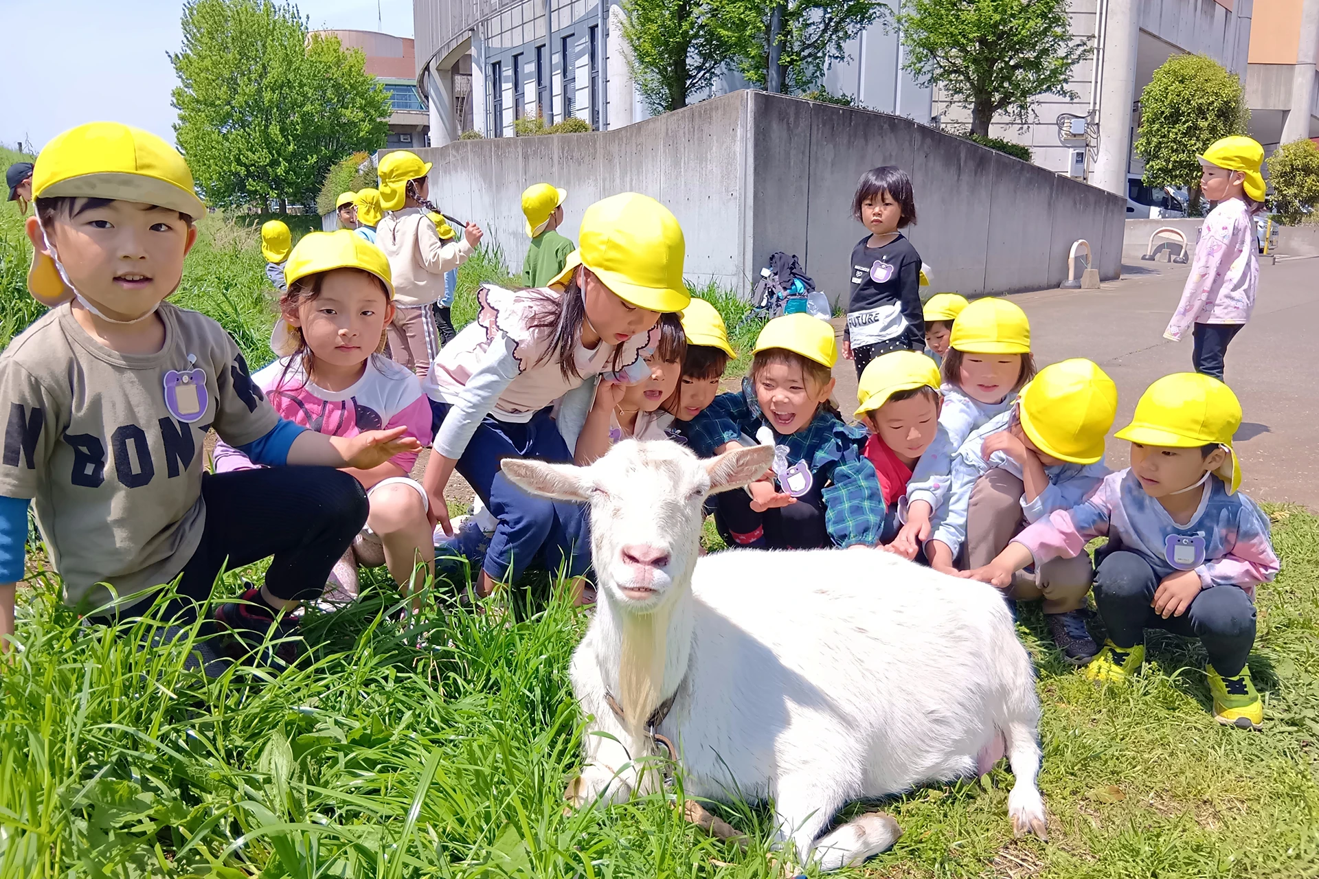 仲町どろんこ保育園 活動写真