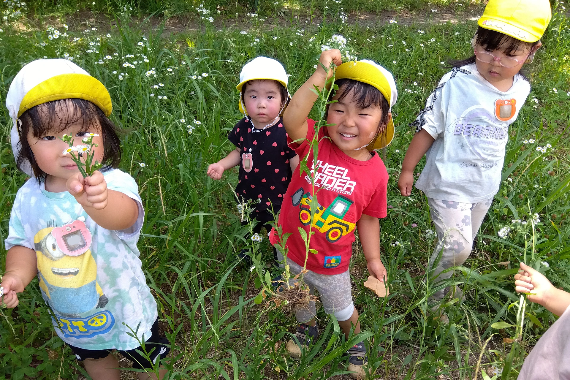 中里どろんこ保育園 活動写真