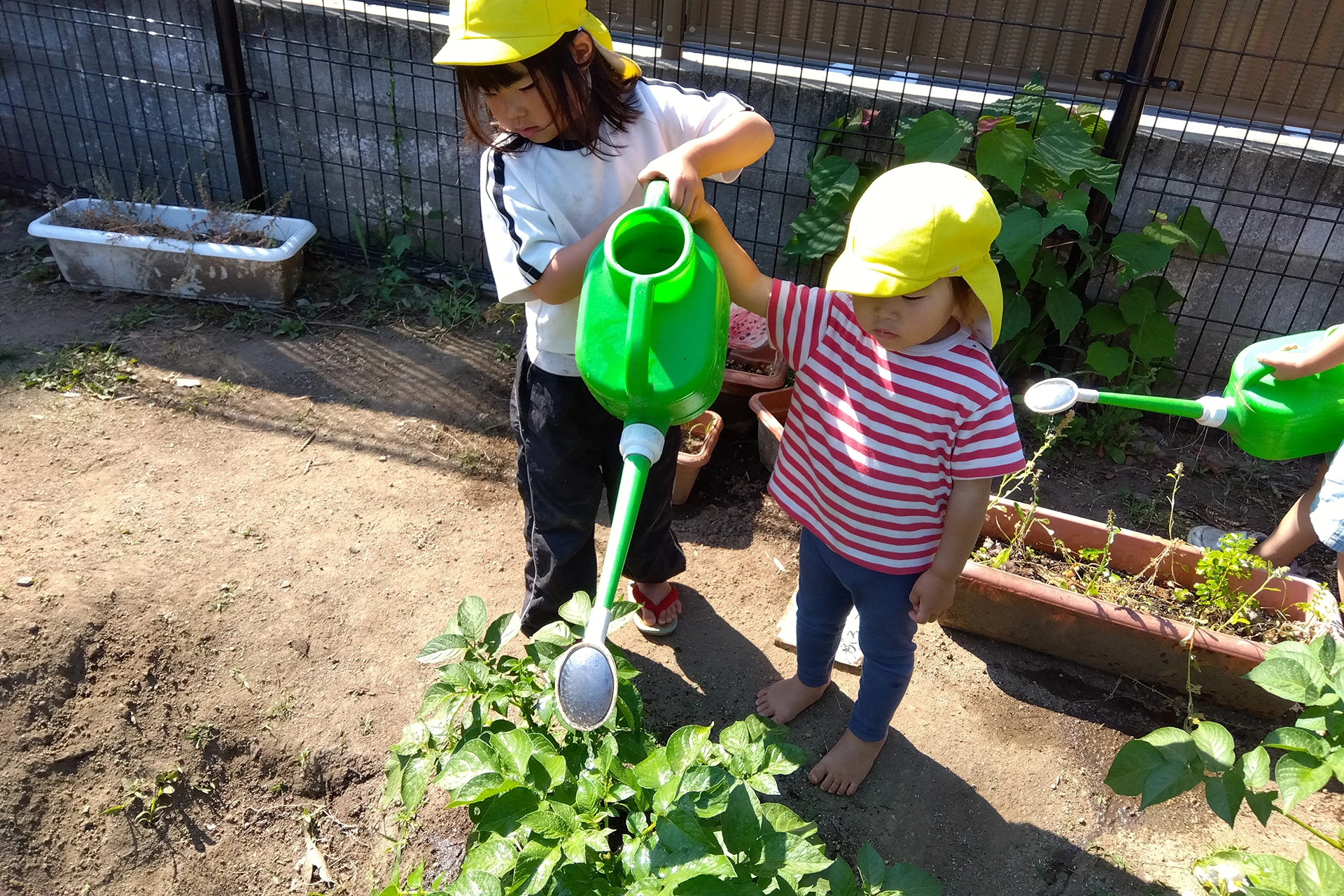 三筑どろんこ保育園 活動写真